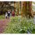 Curriculum PATHS Spring Update