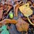 From Little Acorns… Getting Ready for Change and the New School Year